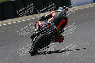 media/Jul-19-2025-TrackDaz (Sat) [[ff1509a44a]]/B Group/220pm (Turn 6)/